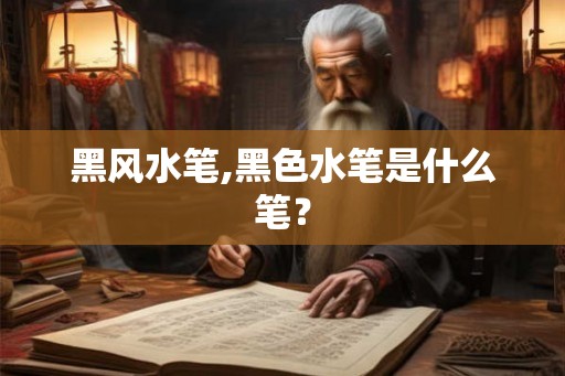 黑风水笔,黑色水笔是什么笔? 黑风水笔,黑色水笔是什么笔?