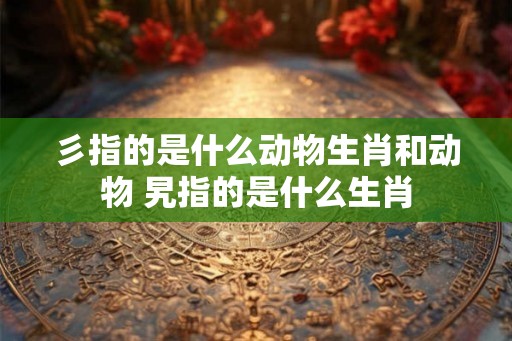 彡指的是什么动物生肖和动物 旯指的是什么生肖 彡指的是什么动物生肖和动物 旯指的是什么生肖