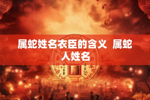 属蛇姓名衣臣的含义  属蛇人姓名