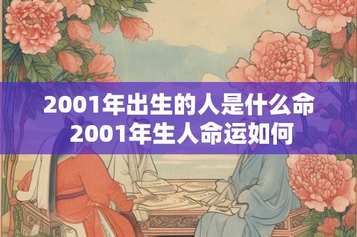 2001年出生的人是什么命 2001年生人命运如何