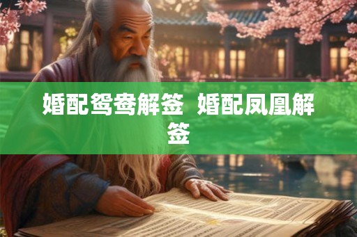 婚配鸳鸯解签  婚配凤凰解签