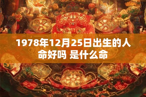 1978年12月25日出生的人命好吗 是什么命