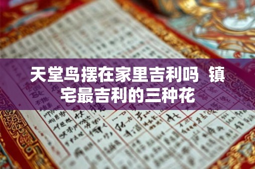 天堂鸟摆在家里吉利吗  镇宅最吉利的三种花
