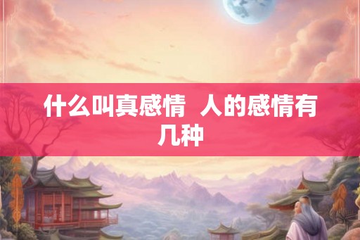 什么叫真感情  人的感情有几种