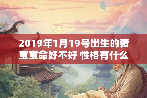 2019年1月19号出生的猪宝宝命好不好 性格有什么特点