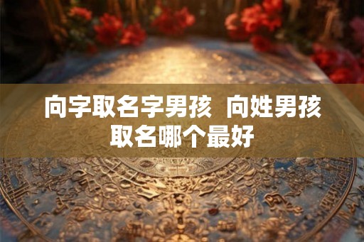 向字取名字男孩  向姓男孩取名哪个最好