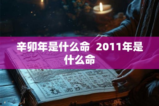 辛卯年是什么命  2011年是什么命