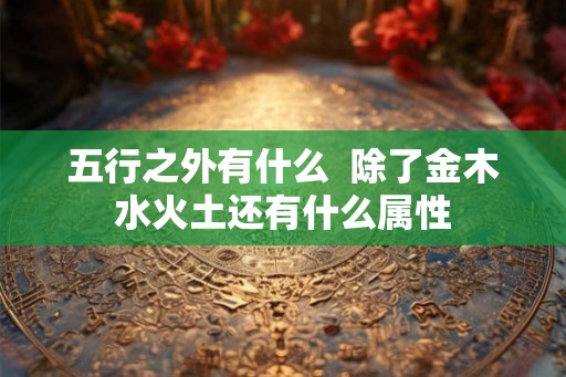 五行之外有什么  除了金木水火土还有什么属性