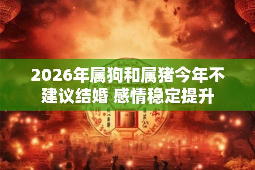 2026年属狗和属猪今年不建议结婚 感情稳定提升