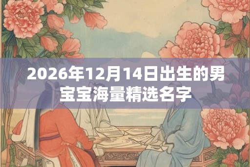 2026年12月14日出生的男宝宝海量精选名字 2026年12月14日出生的男宝宝海量精选名字