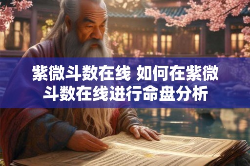 紫微斗数在线 如何在紫微斗数在线进行命盘分析 紫微斗数在线 如何在紫微斗数在线进行命盘分析