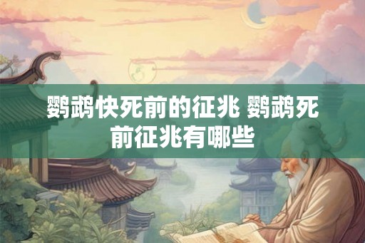 鹦鹉快死前的征兆 鹦鹉死前征兆有哪些