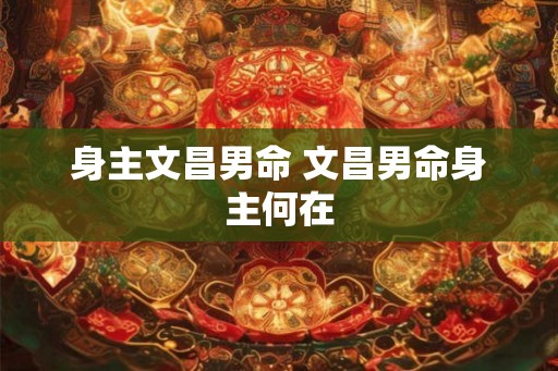 身主文昌男命 文昌男命身主何在