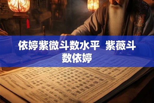 依婷紫微斗数水平  紫薇斗数依婷
