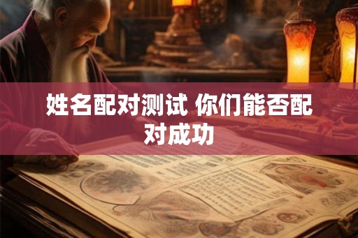 姓名配对测试 你们能否配对成功