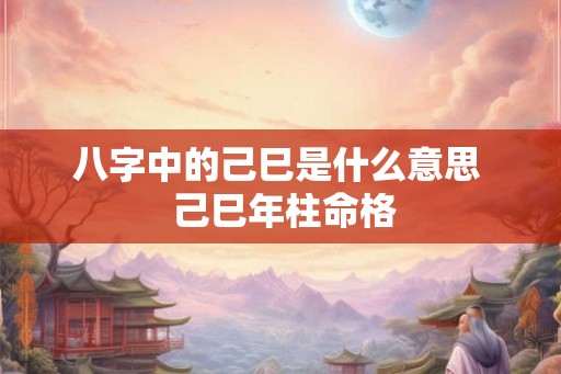 八字中的己巳是什么意思  己巳年柱命格