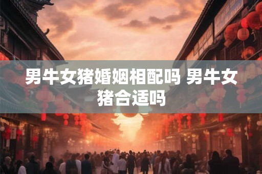 男牛女猪婚姻相配吗 男牛女猪合适吗