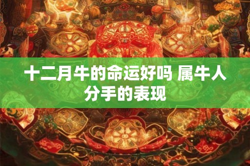十二月牛的命运好吗 属牛人分手的表现