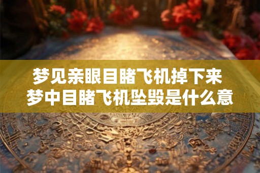梦见亲眼目睹飞机掉下来 梦中目睹飞机坠毁是什么意思 梦见亲眼目睹飞机掉下来 梦中目睹飞机坠毁是什么意思