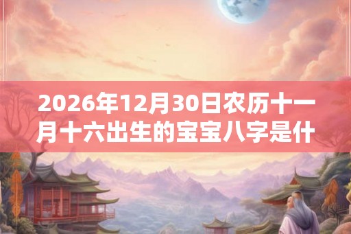 2026年12月30日农历十一月十六出生的宝宝八字是什么