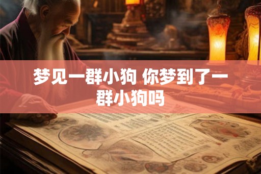 梦见一群小狗 你梦到了一群小狗吗