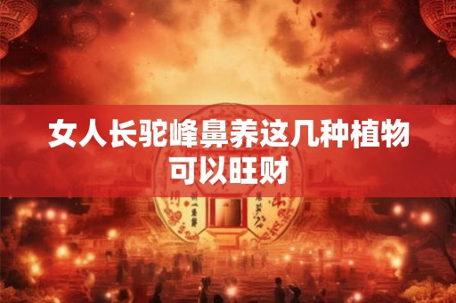 女人长驼峰鼻养这几种植物可以旺财