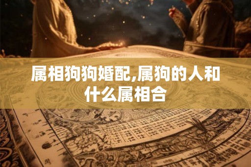 属相狗狗婚配,属狗的人和什么属相合