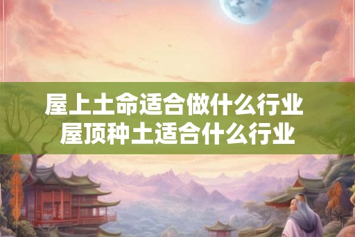屋上土命适合做什么行业 屋顶种土适合什么行业 屋上土命适合做什么行业 屋顶种土适合什么行业