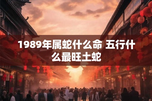 1989年属蛇什么命 五行什么最旺土蛇