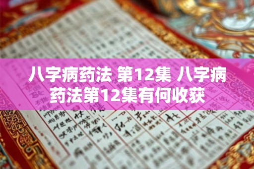 八字病药法 第12集 八字病药法第12集有何收获