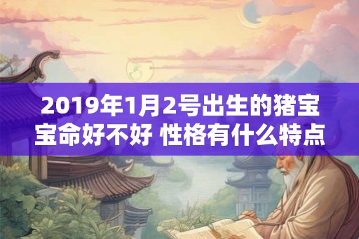 2019年1月2号出生的猪宝宝命好不好 性格有什么特点