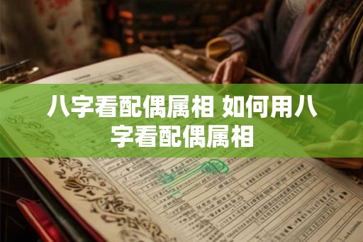 八字看配偶属相 如何用八字看配偶属相