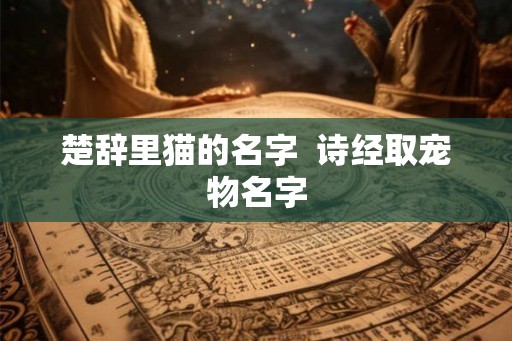 楚辞里猫的名字  诗经取宠物名字