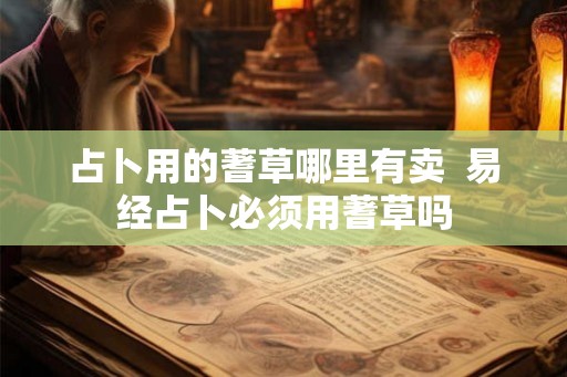 占卜用的蓍草哪里有卖  易经占卜必须用蓍草吗