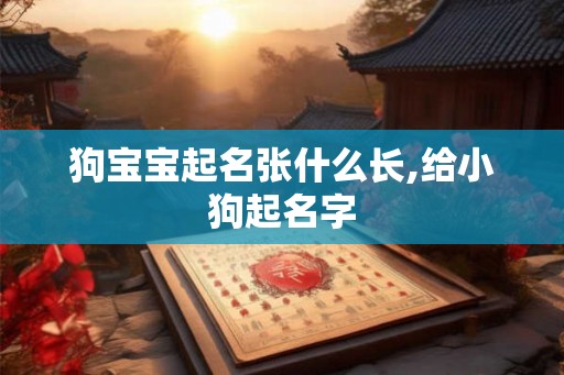 狗宝宝起名张什么长,给小狗起名字 狗宝宝起名张什么长,给小狗起名字