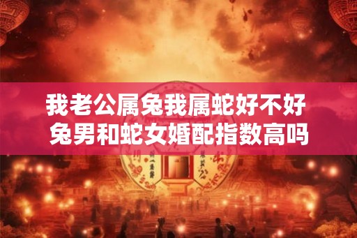 我老公属兔我属蛇好不好 兔男和蛇女婚配指数高吗