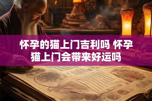 怀孕的猫上门吉利吗 怀孕猫上门会带来好运吗