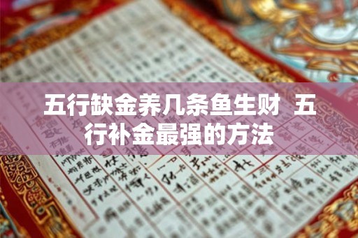 五行缺金养几条鱼生财  五行补金最强的方法
