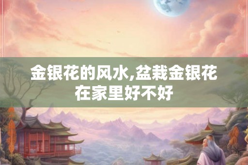 金银花的风水,盆栽金银花在家里好不好