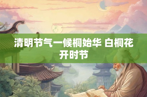 清明节气一候桐始华 白桐花开时节