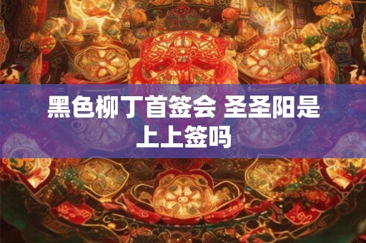 黑色柳丁首签会 圣圣阳是上上签吗