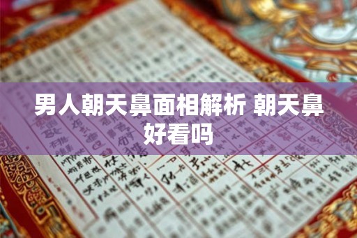 男人朝天鼻面相解析 朝天鼻好看吗