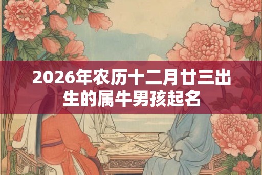 2026年农历十二月廿三出生的属牛男孩起名