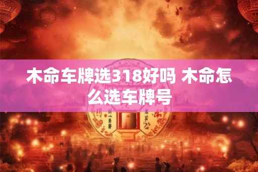木命车牌选318好吗 木命怎么选车牌号 木命车牌选318好吗 木命怎么选车牌号