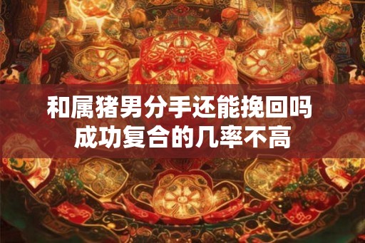 和属猪男分手还能挽回吗 成功复合的几率不高