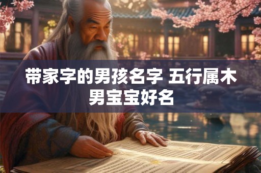 带家字的男孩名字 五行属木男宝宝好名