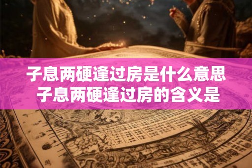 子息两硬逢过房是什么意思 子息两硬逢过房的含义是什么