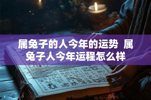 属兔子的人今年的运势  属兔子人今年运程怎么样