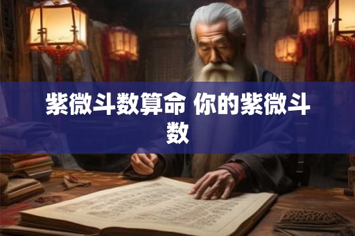 紫微斗数算命 你的紫微斗数
