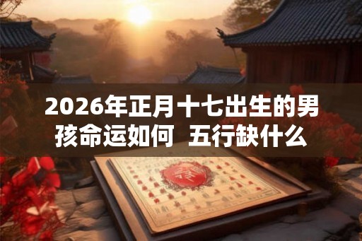 2026年正月十七出生的男孩命运如何  五行缺什么